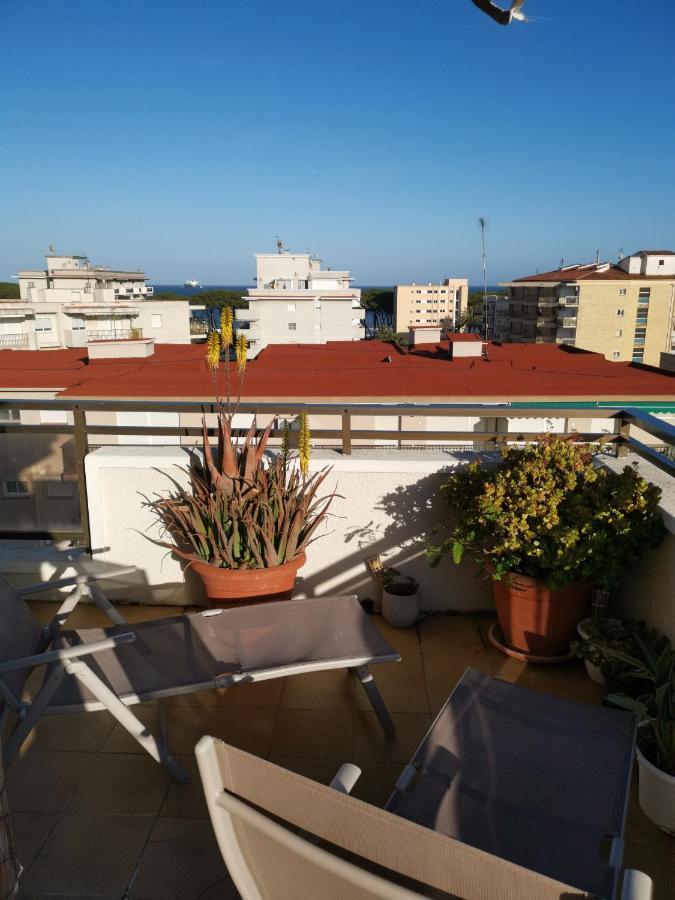 Pina Beach Holidays La Pineda Εξωτερικό φωτογραφία